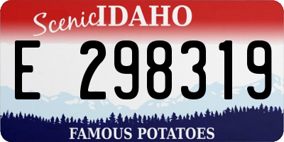 ID license plate E298319