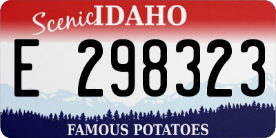 ID license plate E298323