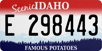 ID license plate E298443