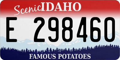 ID license plate E298460