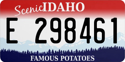 ID license plate E298461