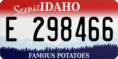 ID license plate E298466