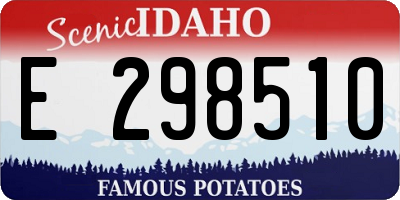ID license plate E298510