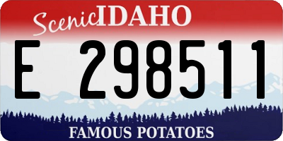 ID license plate E298511