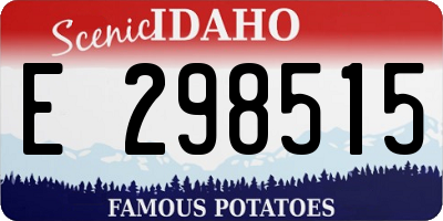 ID license plate E298515