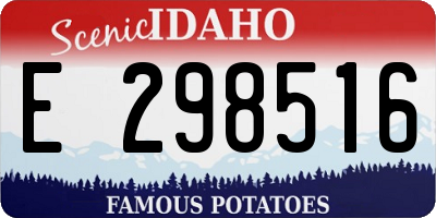 ID license plate E298516