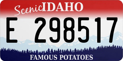ID license plate E298517