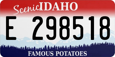 ID license plate E298518