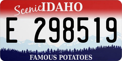ID license plate E298519