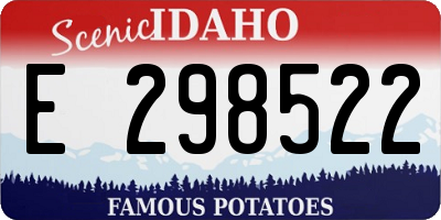 ID license plate E298522