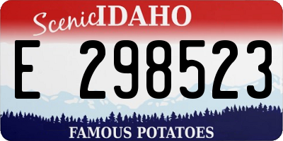 ID license plate E298523