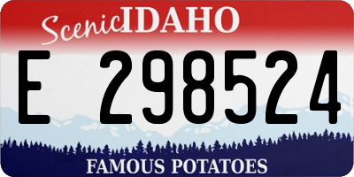 ID license plate E298524