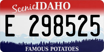 ID license plate E298525