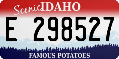 ID license plate E298527