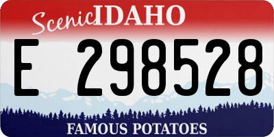 ID license plate E298528