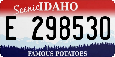 ID license plate E298530
