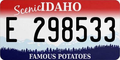 ID license plate E298533