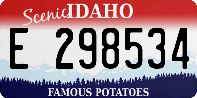ID license plate E298534