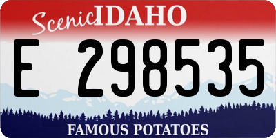 ID license plate E298535