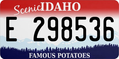 ID license plate E298536