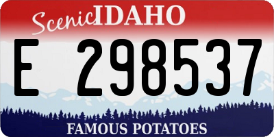 ID license plate E298537