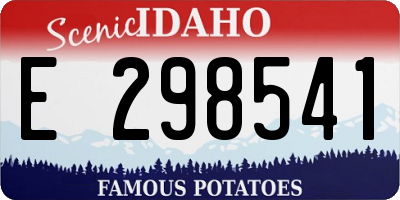 ID license plate E298541