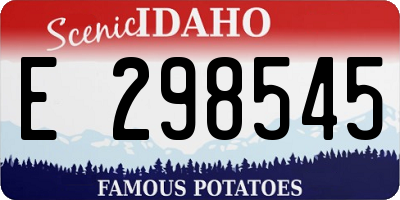 ID license plate E298545