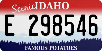 ID license plate E298546