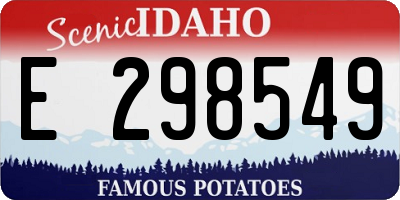 ID license plate E298549