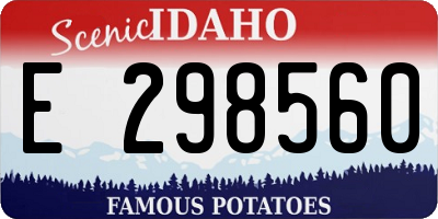 ID license plate E298560