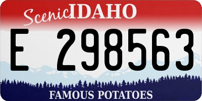 ID license plate E298563