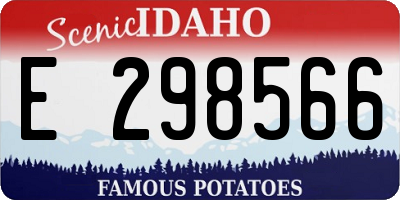 ID license plate E298566