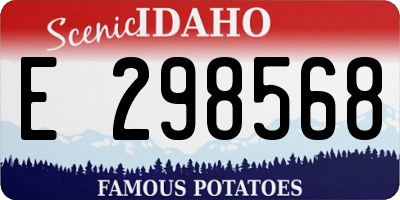 ID license plate E298568