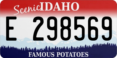 ID license plate E298569