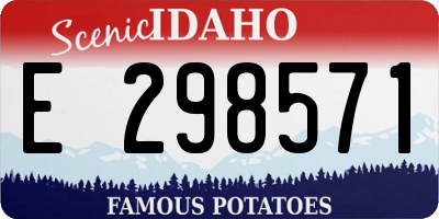ID license plate E298571