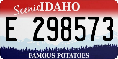 ID license plate E298573