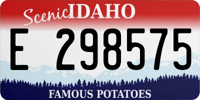 ID license plate E298575