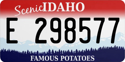 ID license plate E298577