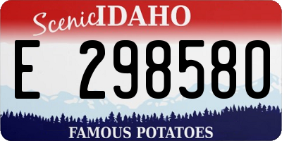 ID license plate E298580