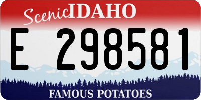ID license plate E298581