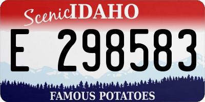 ID license plate E298583