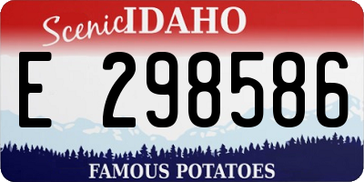 ID license plate E298586