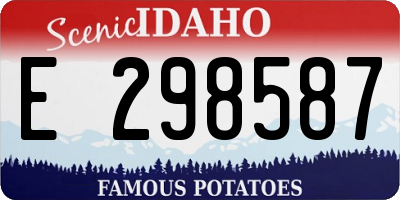 ID license plate E298587