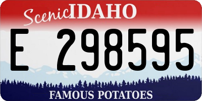 ID license plate E298595