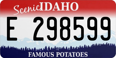 ID license plate E298599
