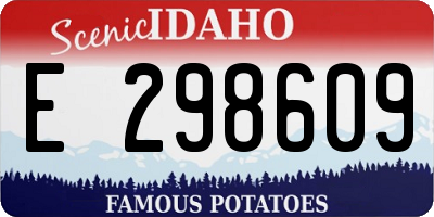 ID license plate E298609