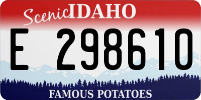 ID license plate E298610