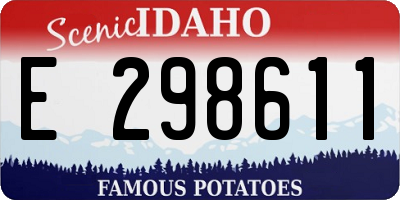 ID license plate E298611