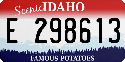 ID license plate E298613