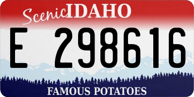ID license plate E298616